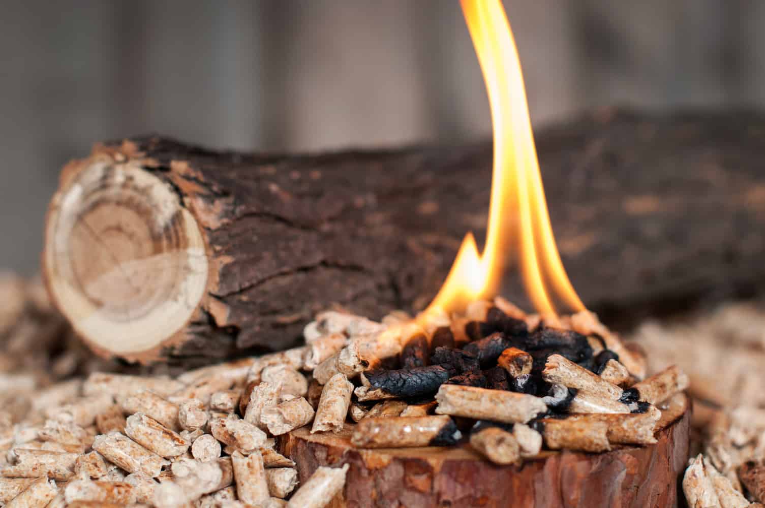 The Best Wood For Smoking In 2023 - GrillSimply