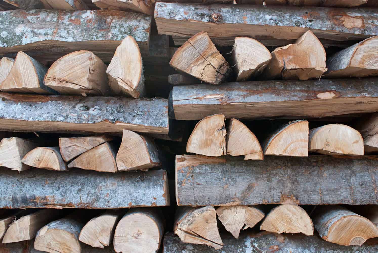 Top 7 Best Woods For Smoking Brisket ALL Flavors Covered